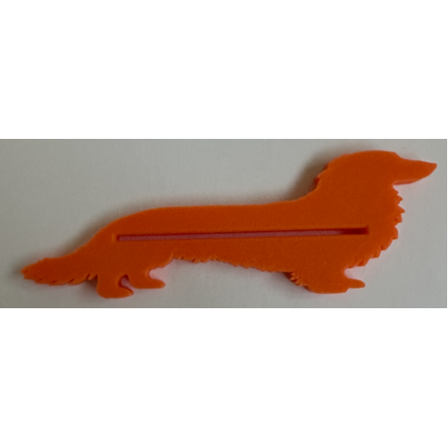 Long Hair Dachshund