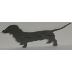 Short Hair Dachshund