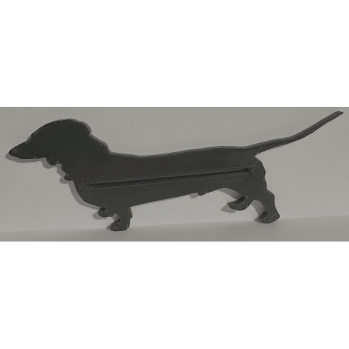 Short Hair Dachshund